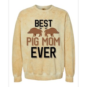 Best Pig Mom Ever Boar Hunting Mom Gift Colorblast Crewneck Sweatshirt