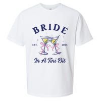 Bachelorette Party Martini Lover Bride An A Tini Bit Bride Sueded Cloud Jersey T-Shirt