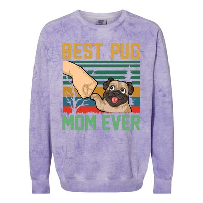 Best Pug Mom Ever Colorblast Crewneck Sweatshirt