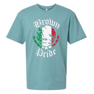 Brown Pride Mexican Flag Gift Sueded Cloud Jersey T-Shirt