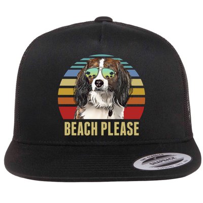 Beach Please Nederlandse Kooikerhondje Dog Funny Summer Gift Flatbill Hat