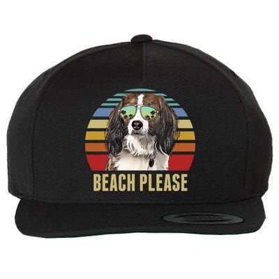 Beach Please Nederlandse Kooikerhondje Dog Funny Summer Gift Wool Snapback Cap
