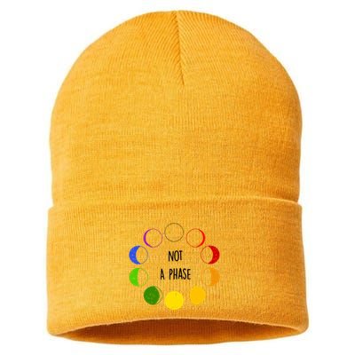 Bi Pride Not A Phase Bisexual Sustainable Knit Beanie