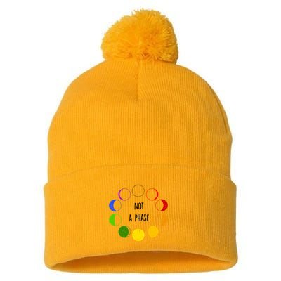 Bi Pride Not A Phase Bisexual Pom Pom 12in Knit Beanie