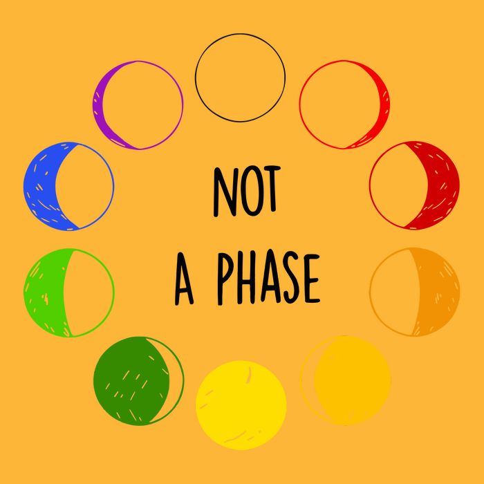 Bi Pride Not A Phase Bisexual Pom Pom 12in Knit Beanie
