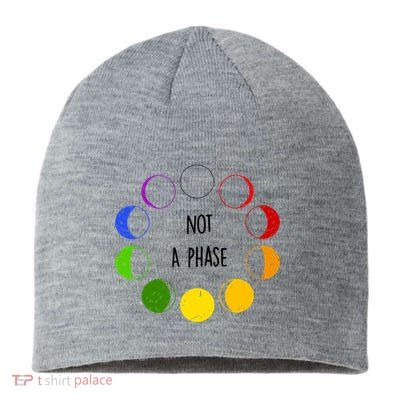 Bi Pride Not A Phase Bisexual Sustainable Beanie