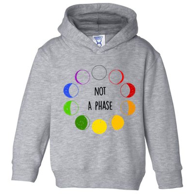 Bi Pride Not A Phase Bisexual Toddler Hoodie