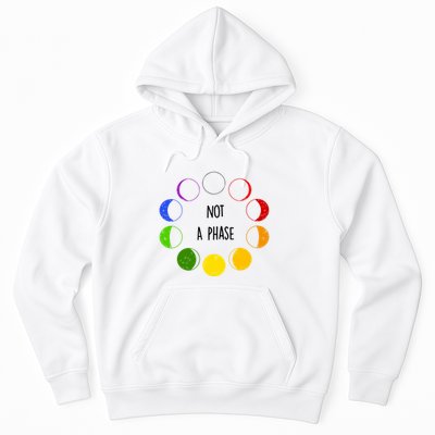Bi Pride Not A Phase Bisexual Hoodie
