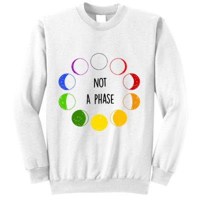 Bi Pride Not A Phase Bisexual Sweatshirt