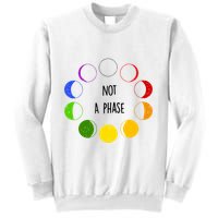 Bi Pride Not A Phase Bisexual Sweatshirt