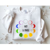 Bi Pride Not A Phase Bisexual Sweatshirt