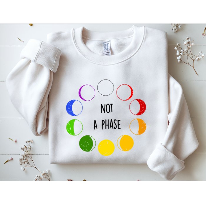 Bi Pride Not A Phase Bisexual Sweatshirt