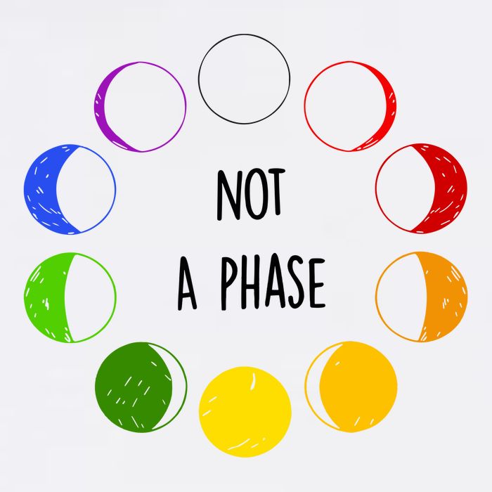 Bi Pride Not A Phase Bisexual Button