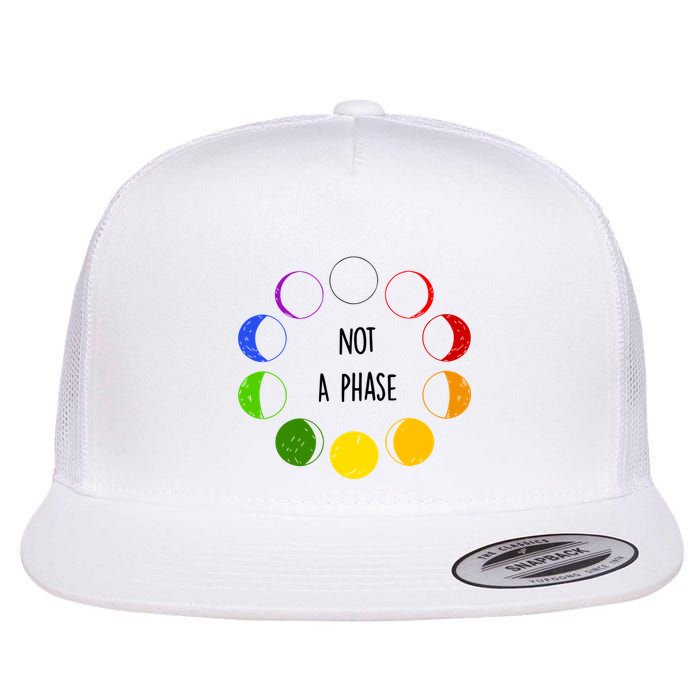 Bi Pride Not A Phase Bisexual Flatbill Hat