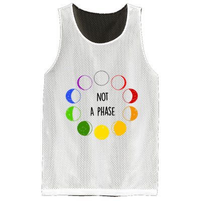 Bi Pride Not A Phase Bisexual Mesh Reversible Basketball Jersey Tank