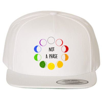 Bi Pride Not A Phase Bisexual Wool Snapback Cap