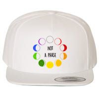 Bi Pride Not A Phase Bisexual Wool Snapback Cap