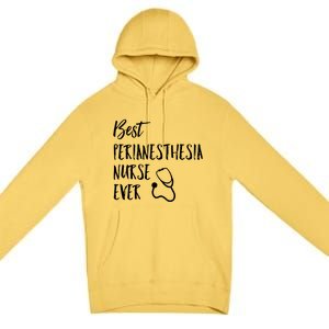 Best Perianesthesia Nurse Ever National Nurses Week Gift Premium Pullover Hoodie