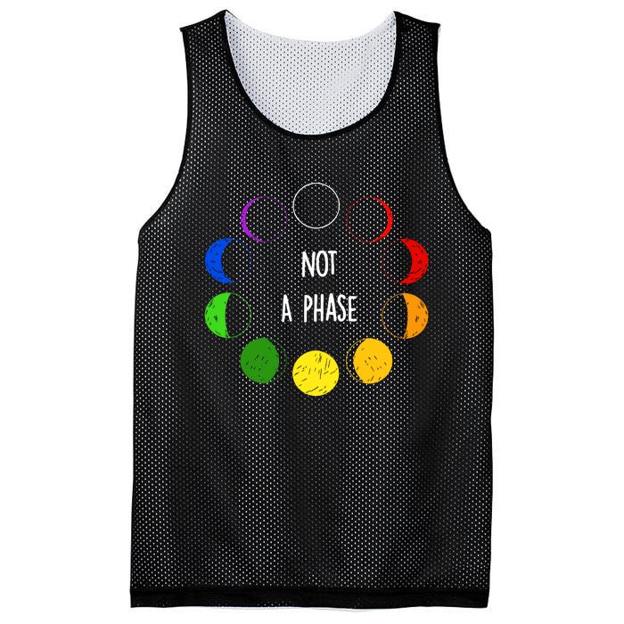 Bi Pride Not A Phase Bisexual Pride LGBT LGBTQ Pride Month Mesh Reversible Basketball Jersey Tank