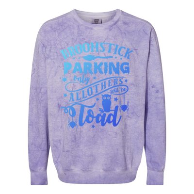 Broomstick Parking Only All Others Will Be Toad Halloween Gift Colorblast Crewneck Sweatshirt