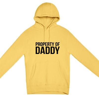 BDSM Property Of Daddy Roleplay Dominant Role Kink Wear Premium Pullover Hoodie