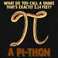 Ball Python Pi Snake Pet Owner Animal Gift Ladies PosiCharge Tri-Blend Wicking Tank