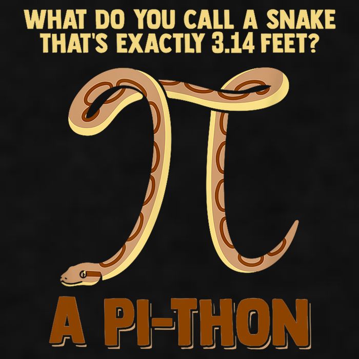 Ball Python Pi Snake Pet Owner Animal Gift Ladies PosiCharge Tri-Blend Wicking Tank