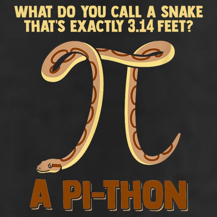 Ball Python Pi Snake Pet Owner Animal Gift Adult Drive Performance Visor