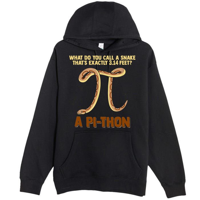 Ball Python Pi Snake Pet Owner Animal Gift Premium Pullover Hoodie