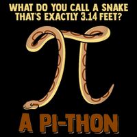 Ball Python Pi Snake Pet Owner Animal Gift Wool Snapback Cap