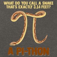 Ball Python Pi Snake Pet Owner Animal Gift Cotton Canvas Backpack