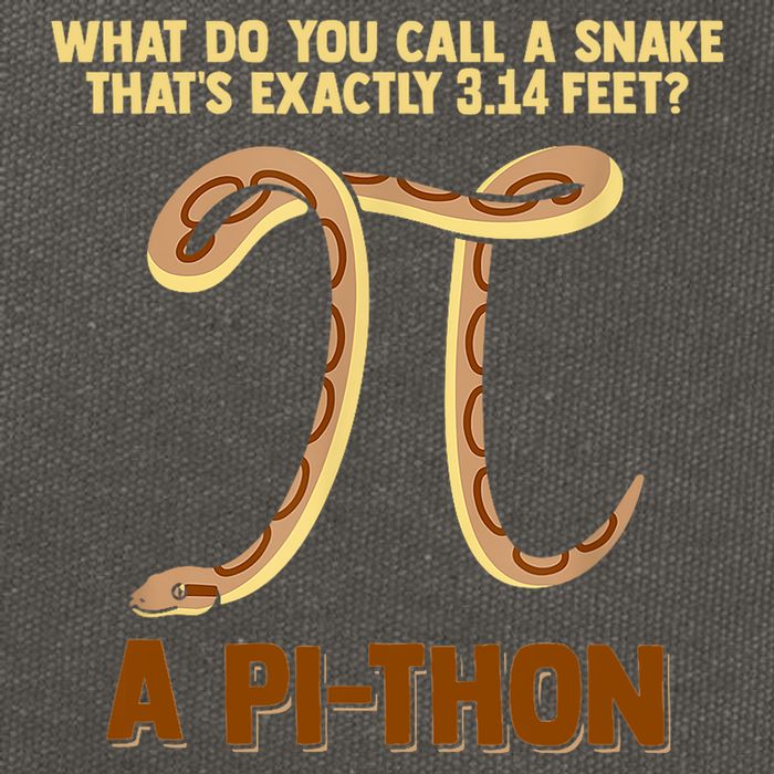 Ball Python Pi Snake Pet Owner Animal Gift Cotton Canvas Backpack