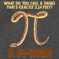 Ball Python Pi Snake Pet Owner Animal Gift Vector Backpack