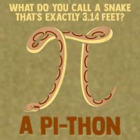 Ball Python Pi Snake Pet Owner Animal Gift Garment-Dyed Women's Muscle Tee