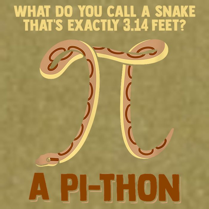 Ball Python Pi Snake Pet Owner Animal Gift Garment-Dyed Women's Muscle Tee