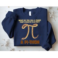 Ball Python Pi Snake Pet Owner Animal Gift Sweatshirt