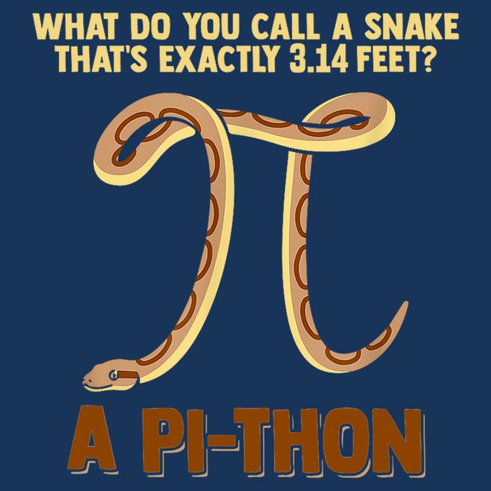 Ball Python Pi Snake Pet Owner Animal Gift Drawstring Bag