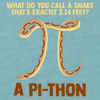 Ball Python Pi Snake Pet Owner Animal Gift Sueded Cloud Jersey T-Shirt