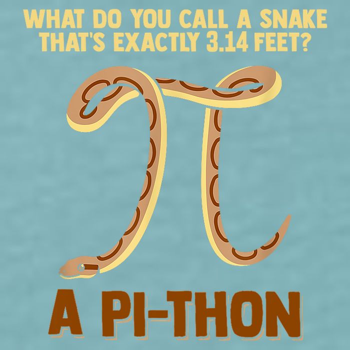 Ball Python Pi Snake Pet Owner Animal Gift Sueded Cloud Jersey T-Shirt