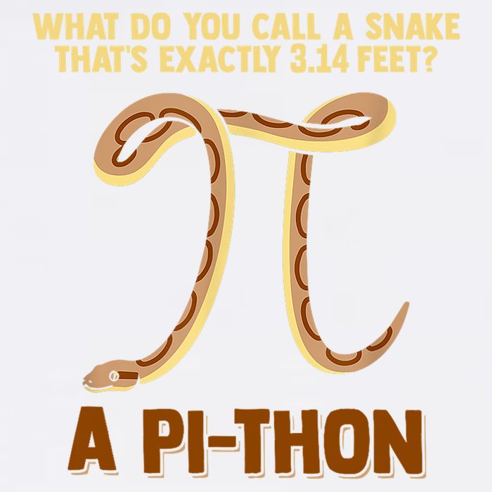 Ball Python Pi Snake Pet Owner Animal Gift Garment-Dyed Sweatshirt