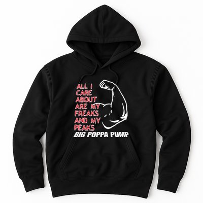 Big Poppa Pump Scott Steiner Big Bad Booty Daddy So Many Freaks So Little Time Hoodie