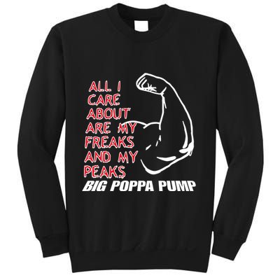 Big Poppa Pump Scott Steiner Big Bad Booty Daddy So Many Freaks So Little Time Sweatshirt