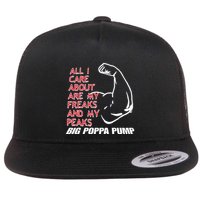 Big Poppa Pump Scott Steiner Big Bad Booty Daddy So Many Freaks So Little Time Flatbill Hat