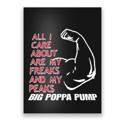 Big Poppa Pump Scott Steiner Big Bad Booty Daddy So Many Freaks So Little Time Poster