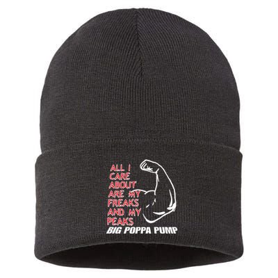 Big Poppa Pump Scott Steiner Big Bad Booty Daddy So Many Freaks So Little Time Sustainable Knit Beanie