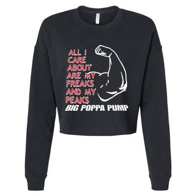 Big Poppa Pump Scott Steiner Big Bad Booty Daddy So Many Freaks So Little Time Cropped Pullover Crew