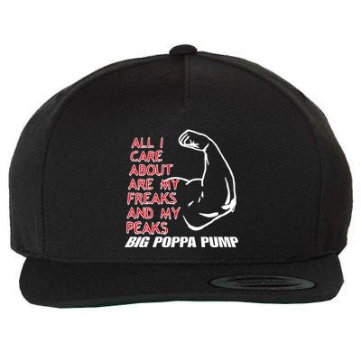 Big Poppa Pump Scott Steiner Big Bad Booty Daddy So Many Freaks So Little Time Wool Snapback Cap