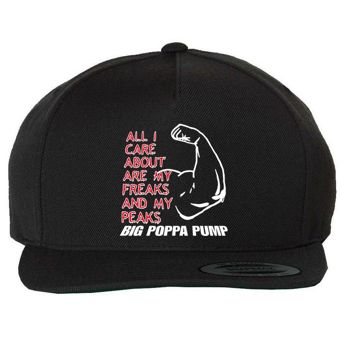 Big Poppa Pump Scott Steiner Big Bad Booty Daddy So Many Freaks So Little Time Wool Snapback Cap