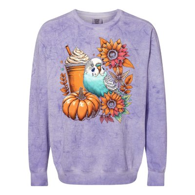 Budgie Parakeet Pumpkin Spice Latte Lovers Budgerigar Autumn Colorblast Crewneck Sweatshirt