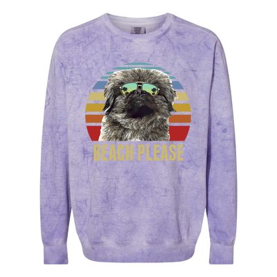 Beach Please Pekingese Dog Funny Summer Gift Colorblast Crewneck Sweatshirt